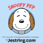 Snoopy PFP